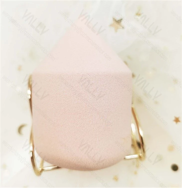 pen beauty sponge (1)