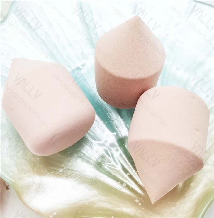 pen beauty sponge (4)