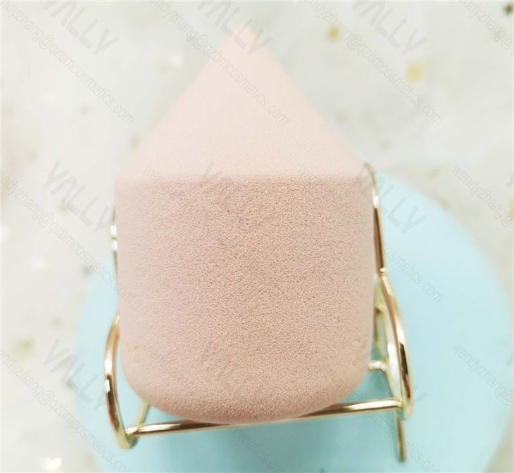 pen beauty sponge (5)